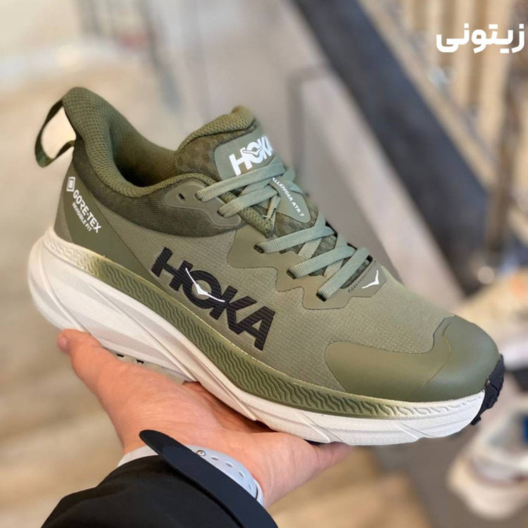 کفش پیاده روی مردانه هوکا مدل challenger gortex