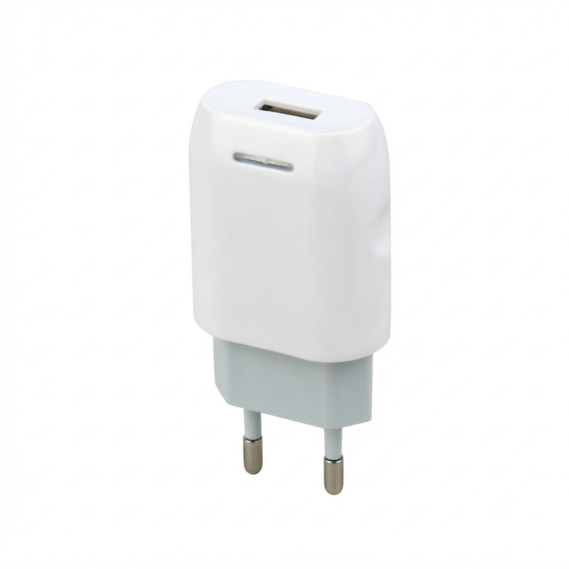 شارژر دیواری 1 وات نیتو مدل NT-133