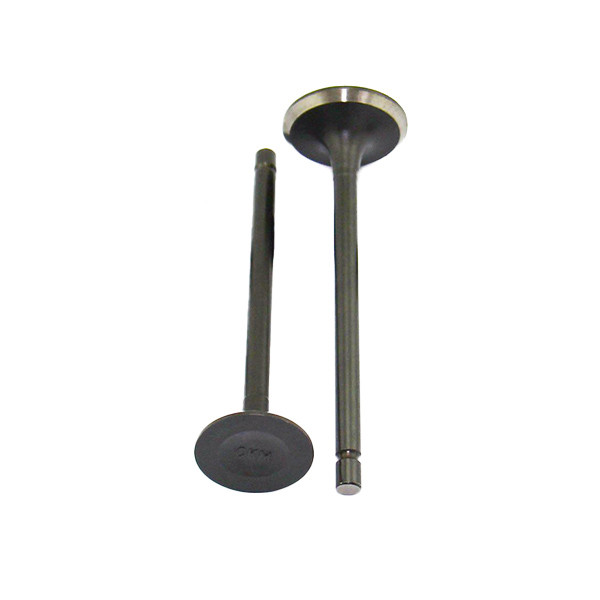 سوپاپ موتور سیکلت مدل RP125 بسته 2 عددی