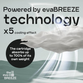 پنکه رومیزی اواپولا مدل EV-3000 ظرفیت 000 میلی آمپرساعت