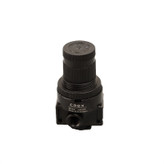 رگولاتور پنوماتیک کوئکس مدل Coex-M-AR2000
